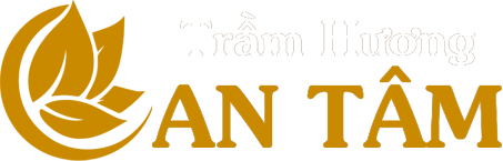 Mẫu web giới thiệu Công ty